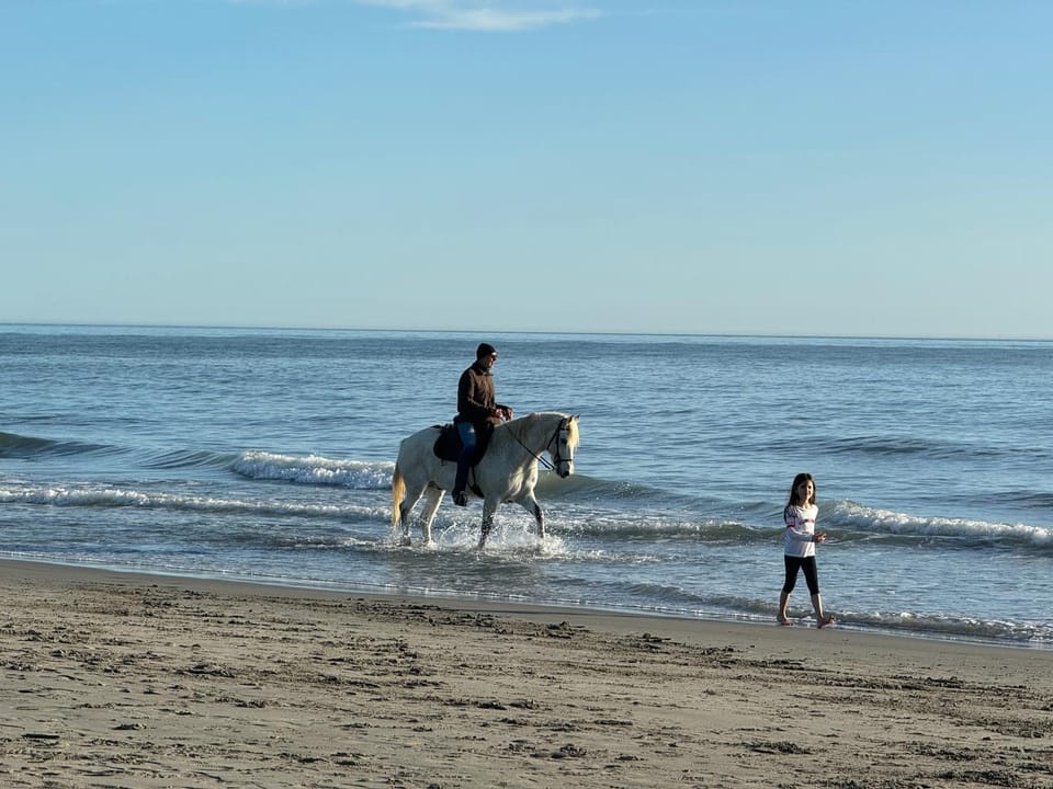 Horse-riding, Beach, Animals