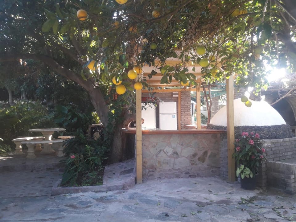 Day, Garden, Garden view