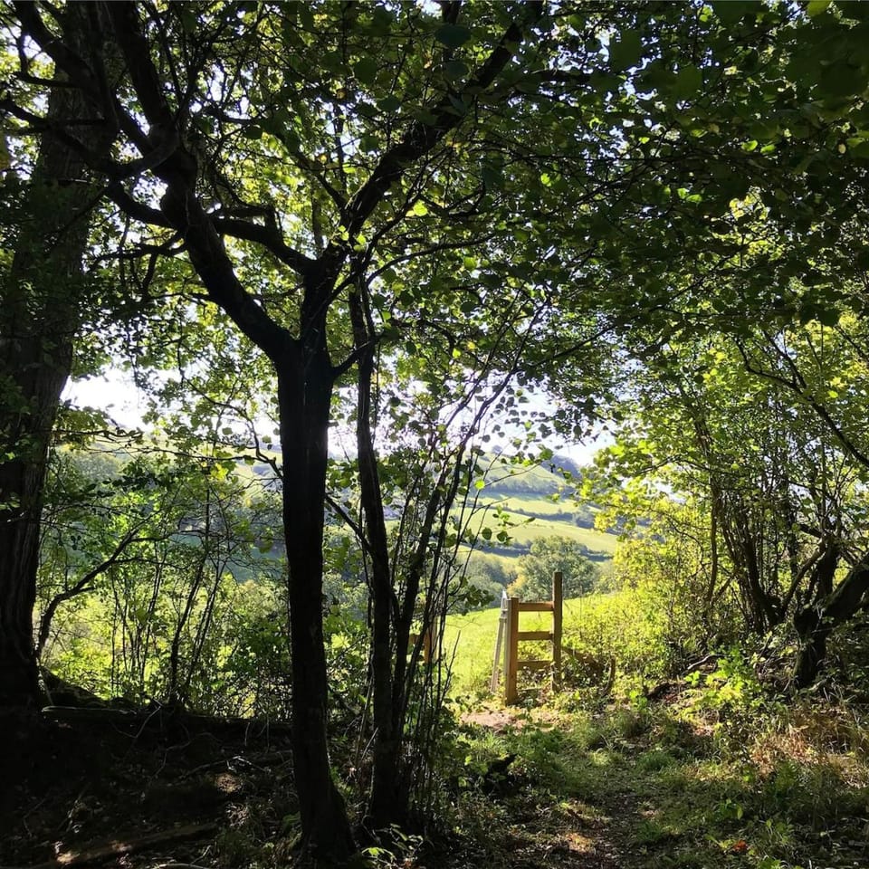 Characterful, Cosy Dartmoor Cottage House in Teignbridge