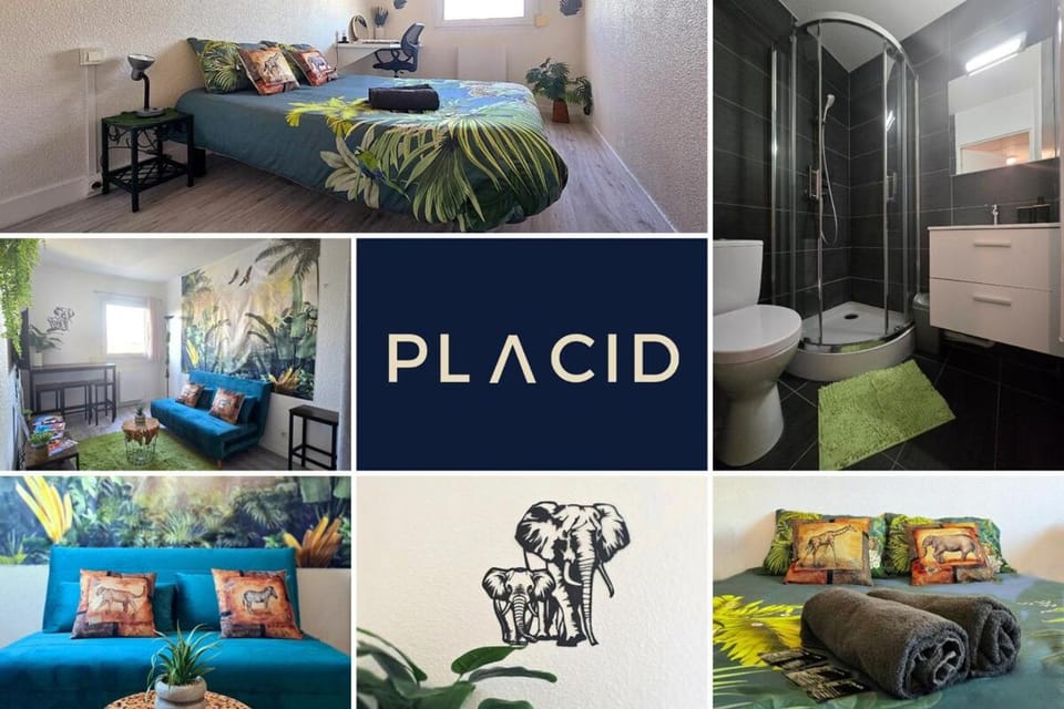 L'oasis urbaine – Centre-ville – Wi-Fi Apartment in Le Mans