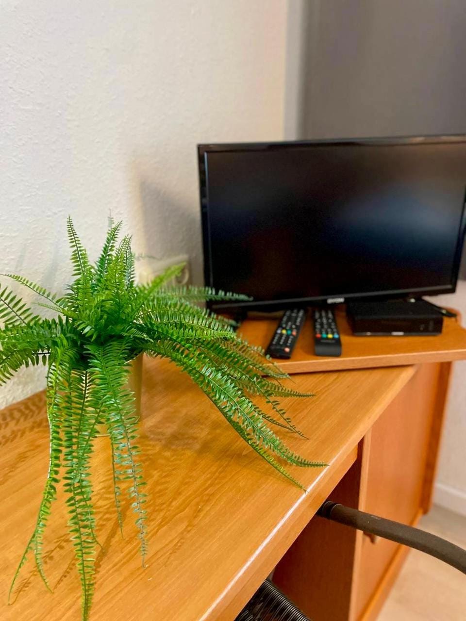 Schwanstetten bei Nürnberg, gemütliches Apartment mit Küche Bad TV Apartment in Bavaria