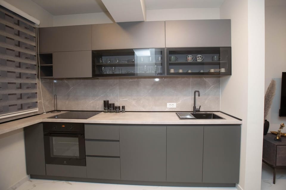 Kitchen or kitchenette, dishwasher