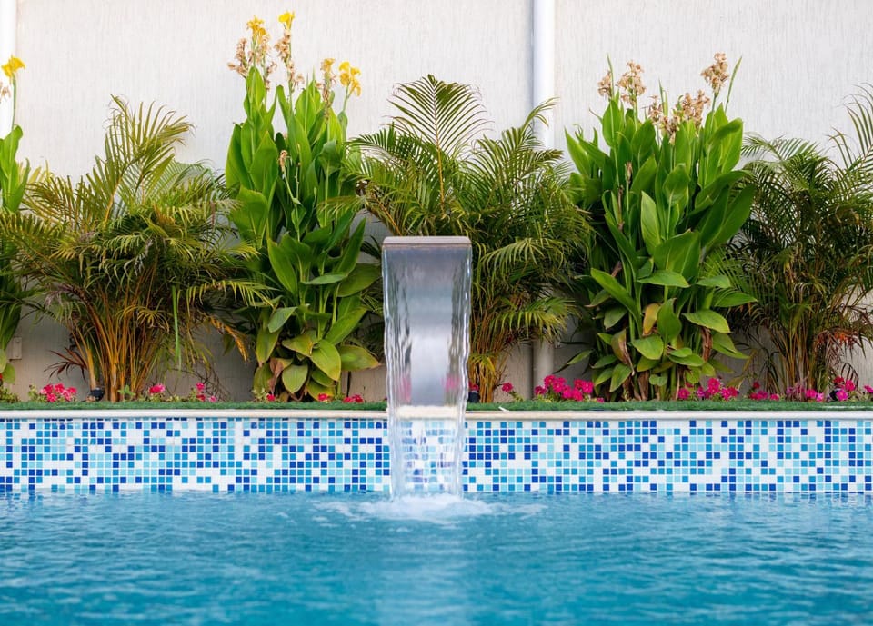 Day, Garden, Garden view, Swimming pool