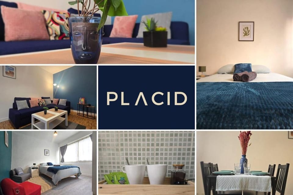 Le Matisse - centre-ville - Wifi - spacieux Apartment in Le Mans