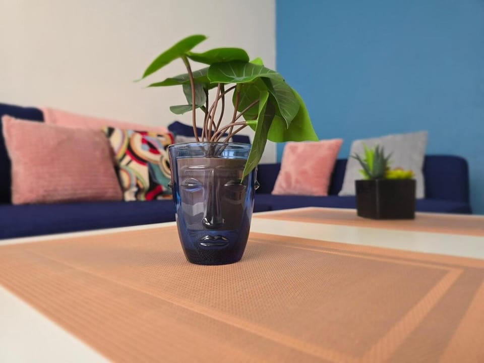 Le Matisse - centre-ville - Wifi - spacieux Apartment in Le Mans