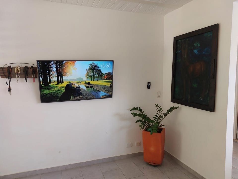 TV and multimedia, Decorative detail