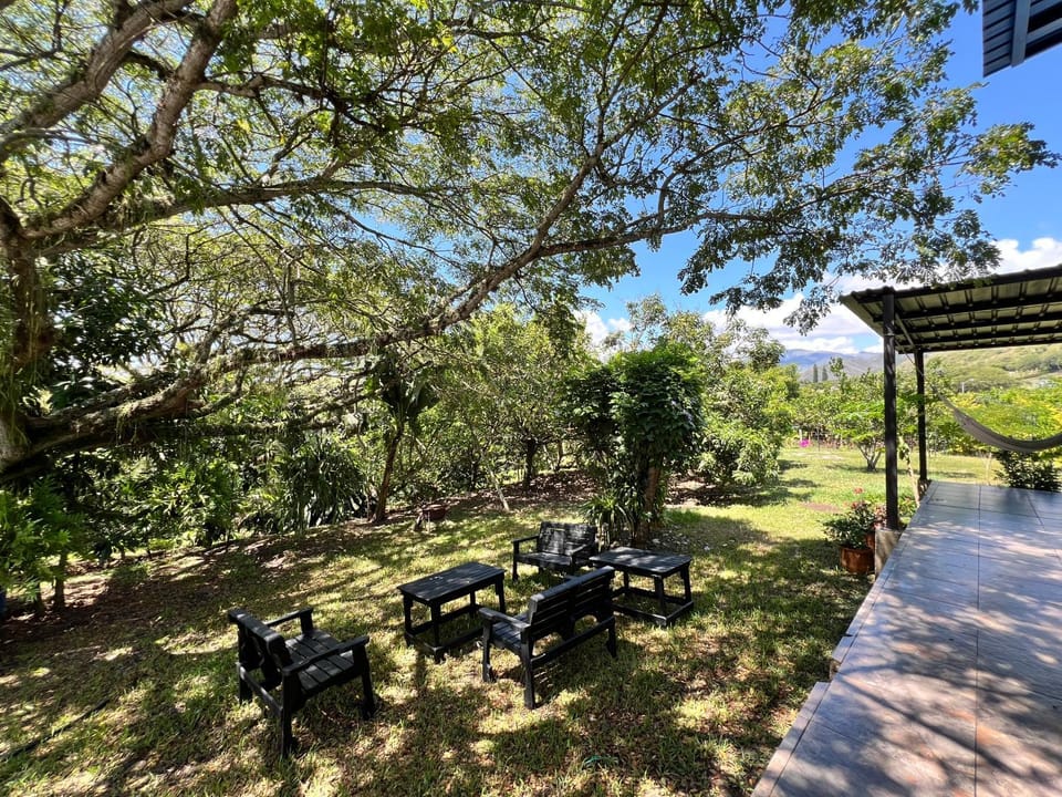 Garden view
