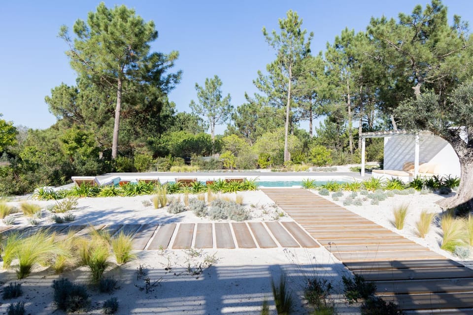 Natural landscape, Garden view