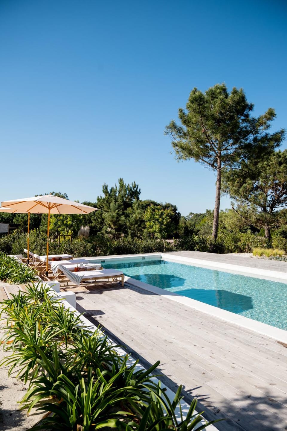 Natural landscape, Garden, Garden view, Pool view, Swimming pool, sunbed
