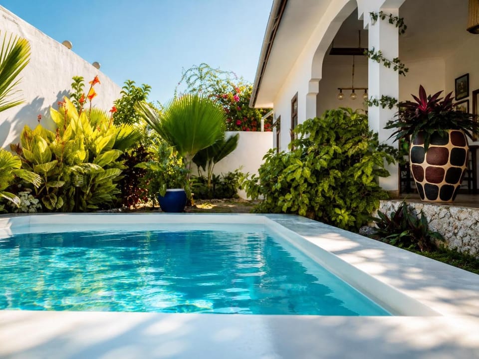 Garden, Swimming pool