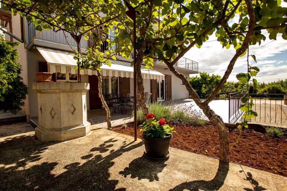 Summer, Garden, Balcony/Terrace