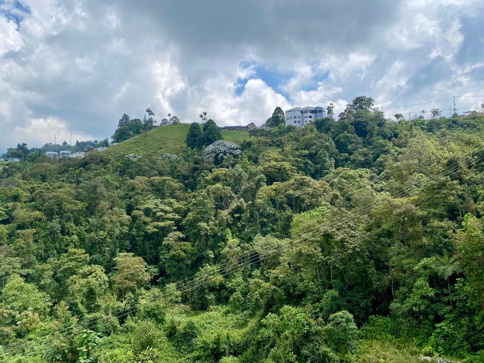 Natural landscape