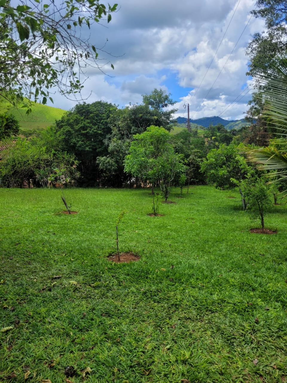 Garden, Mountain view