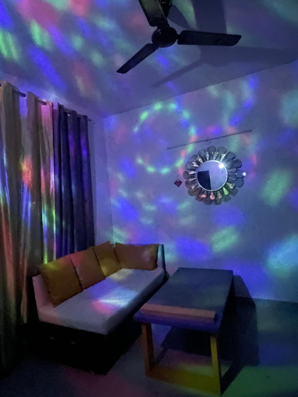 Yellow Butterflies-15 min from Noida sec 52 metro Apartment in Noida