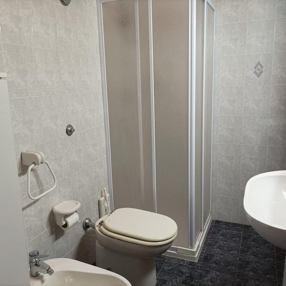 Shower, Toilet, Bathroom, bidet