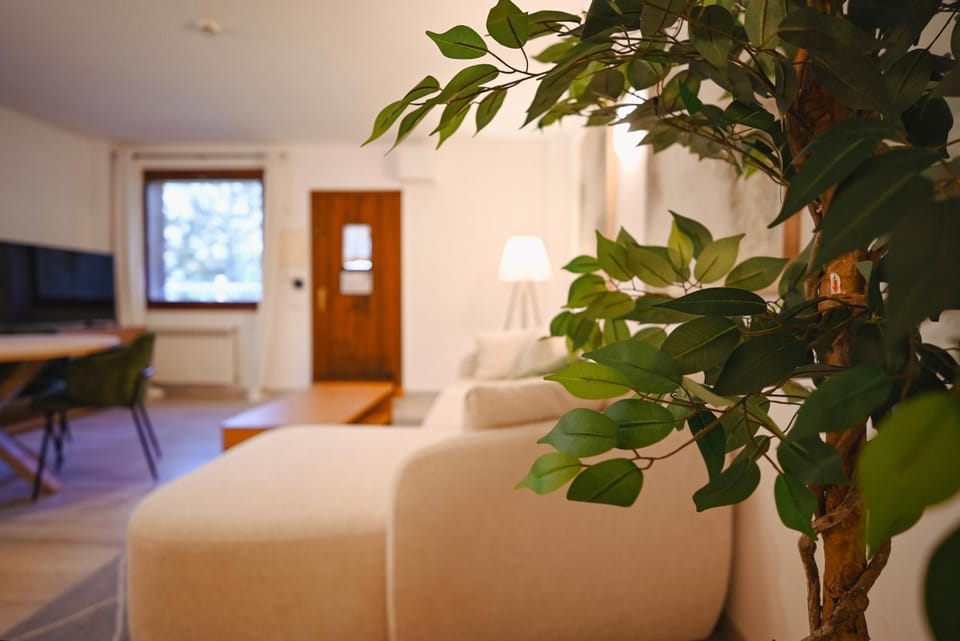 TV and multimedia, Living room, Photo of the whole room