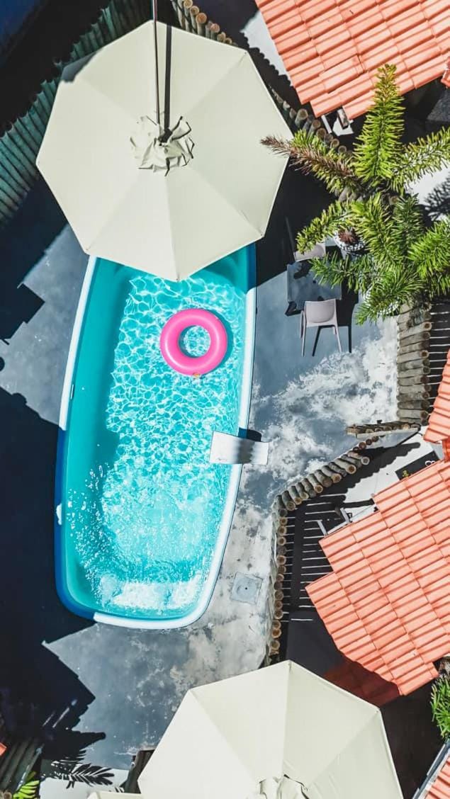 Day, Pool view, Swimming pool, sunbed