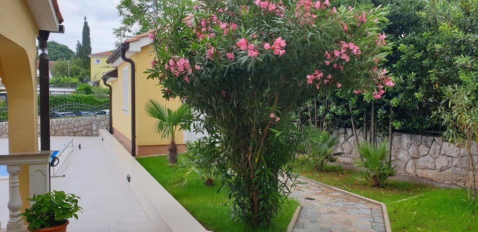 Summer, Garden