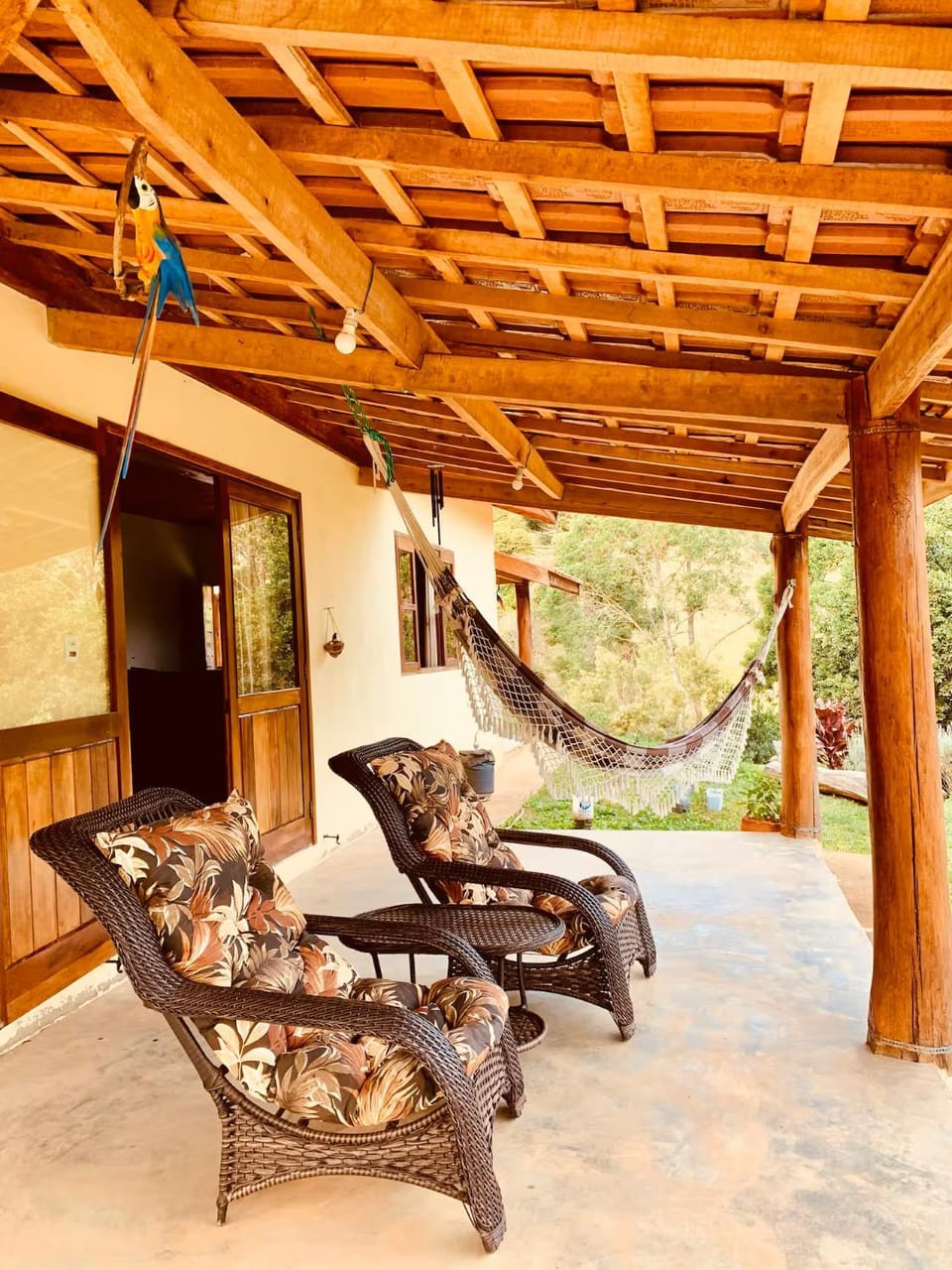 Patio, Day, sunbed