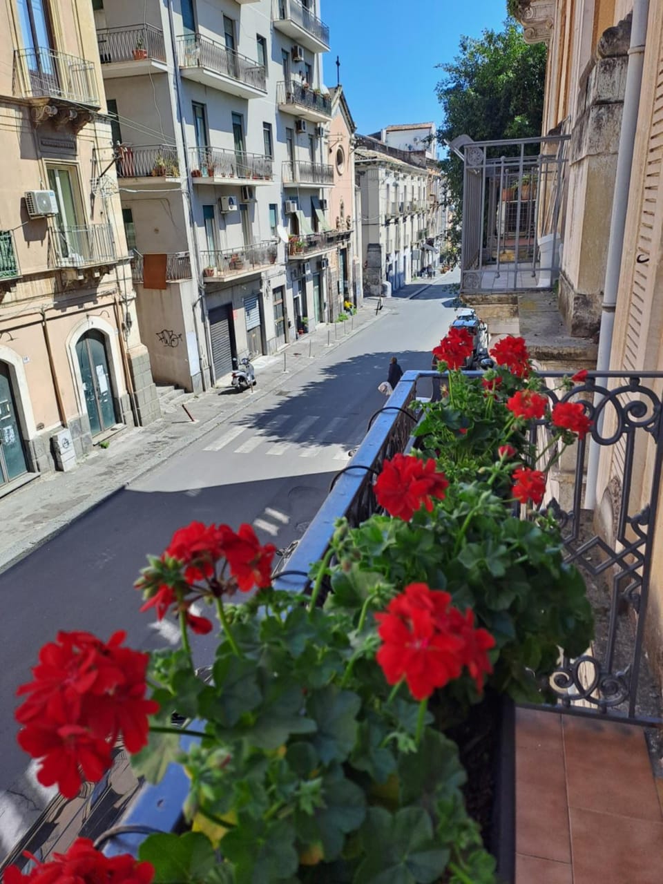 Memo Home Apartment in Catania