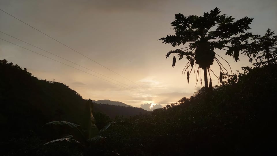Finca Sacha Muyu Farm Stay in Imbabura Province