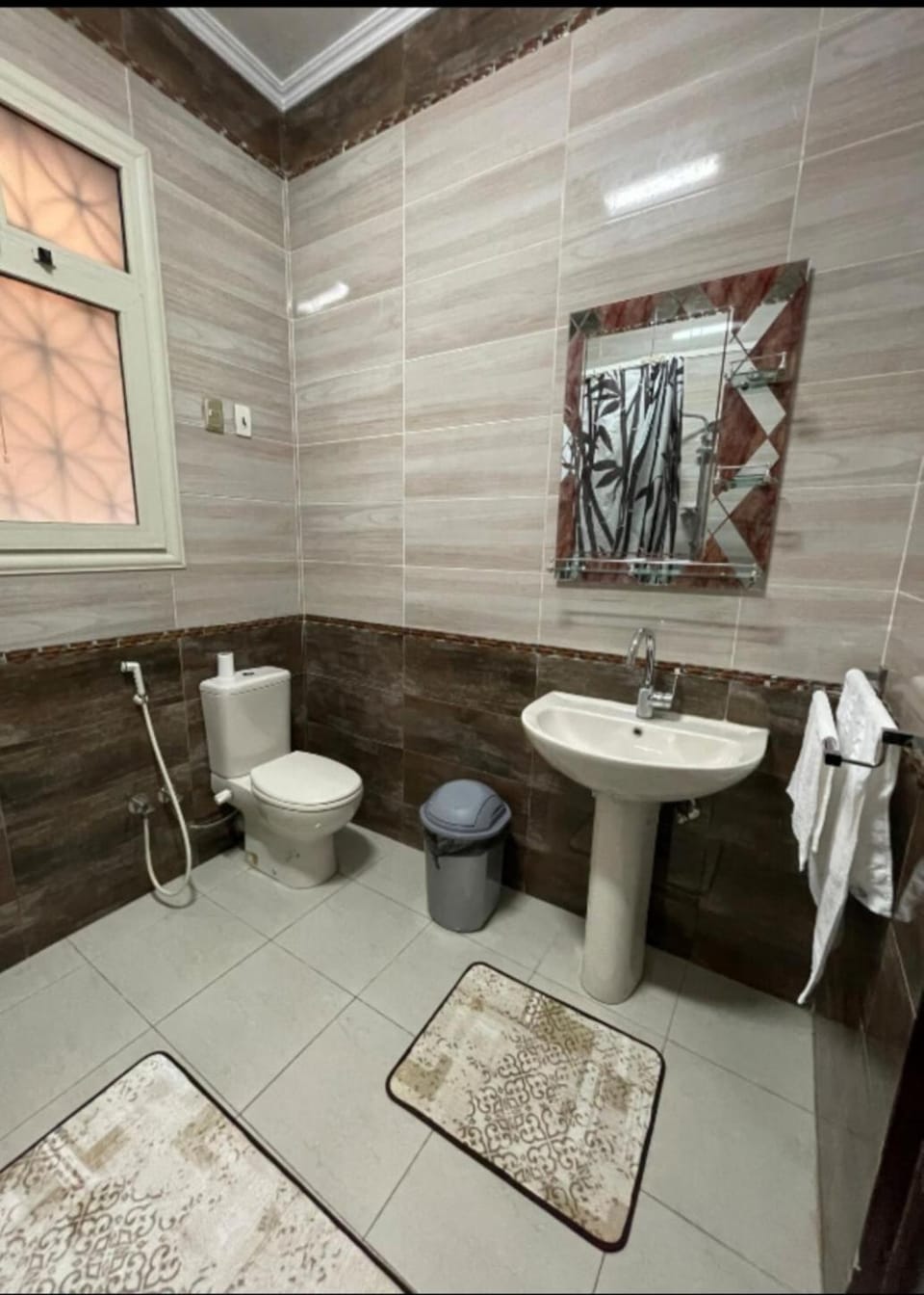 Toilet, bidet, towels