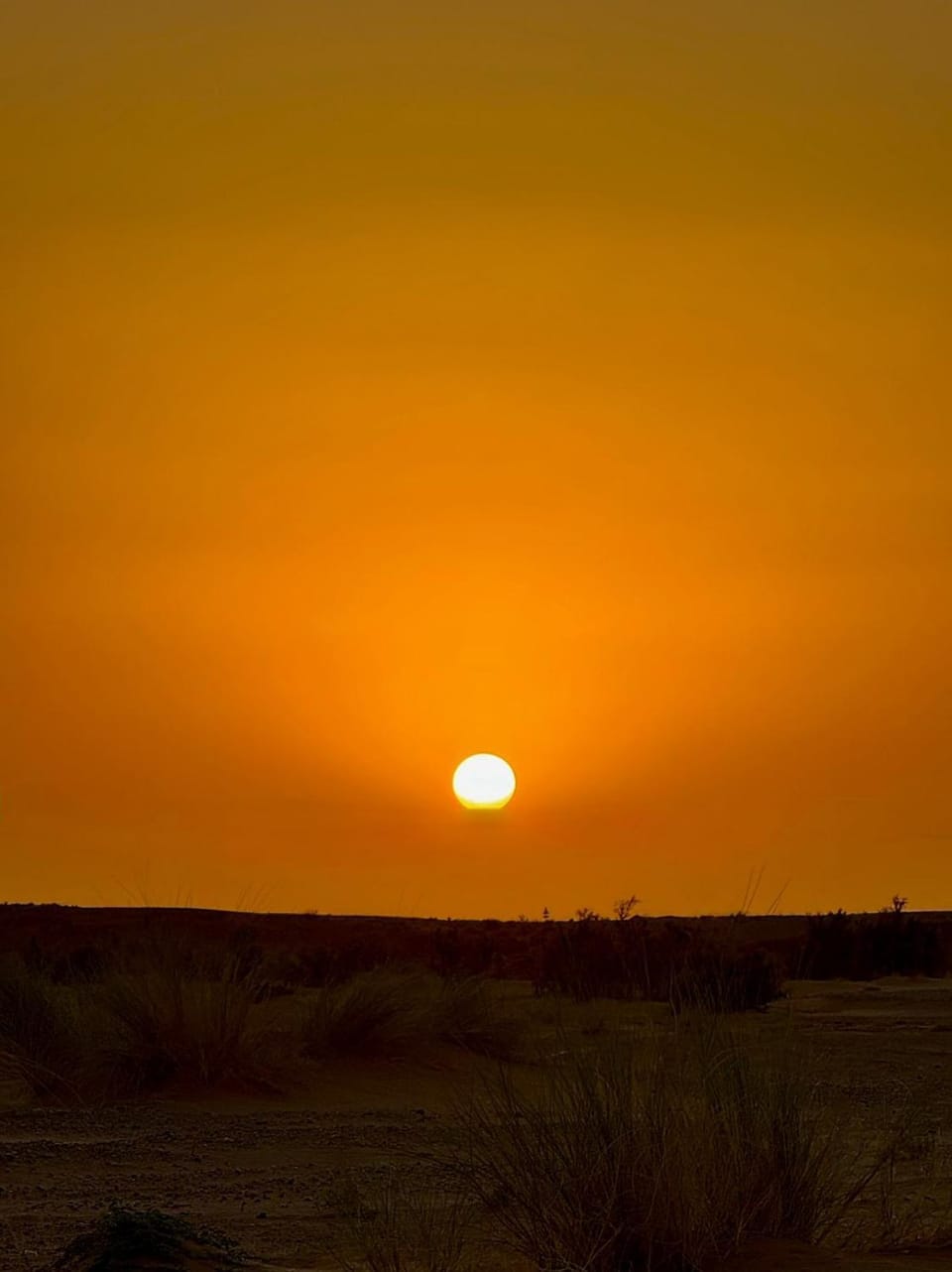 Sunset