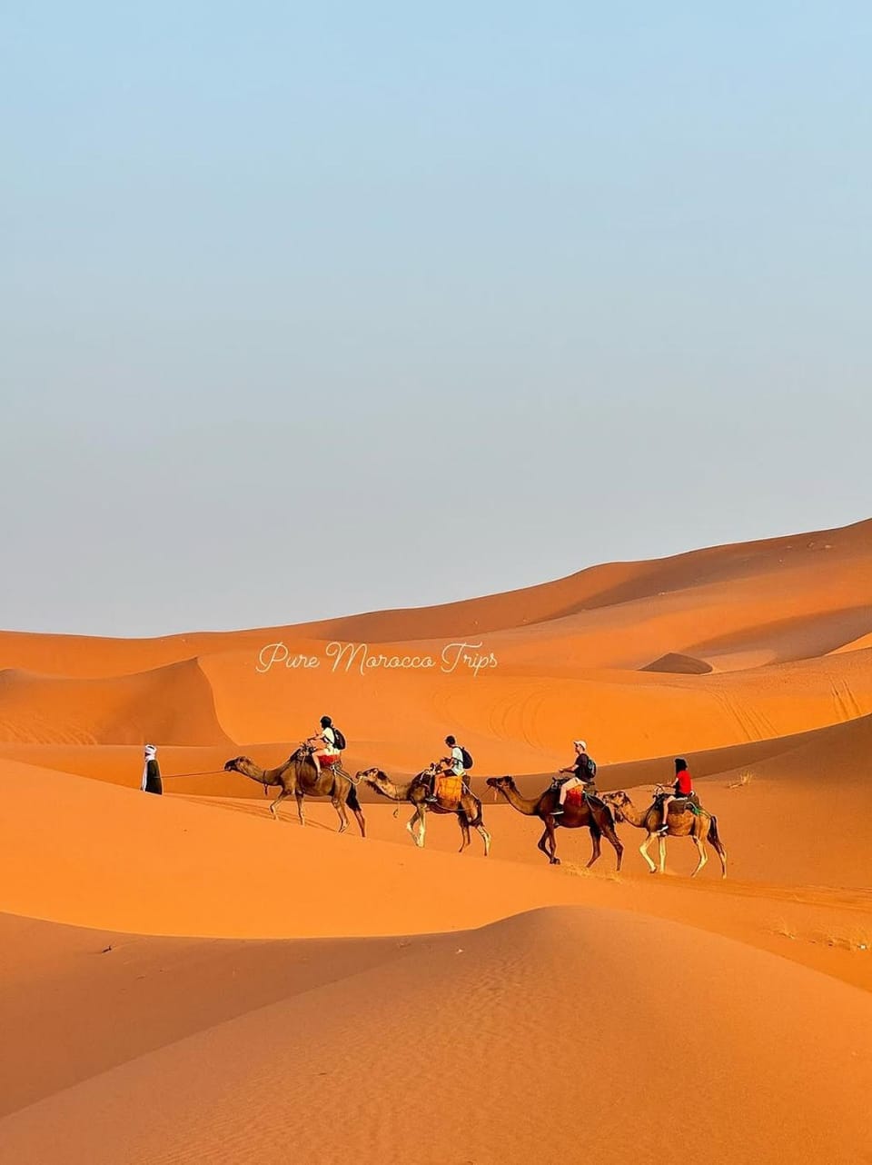 Day, People, Natural landscape, group of guests
