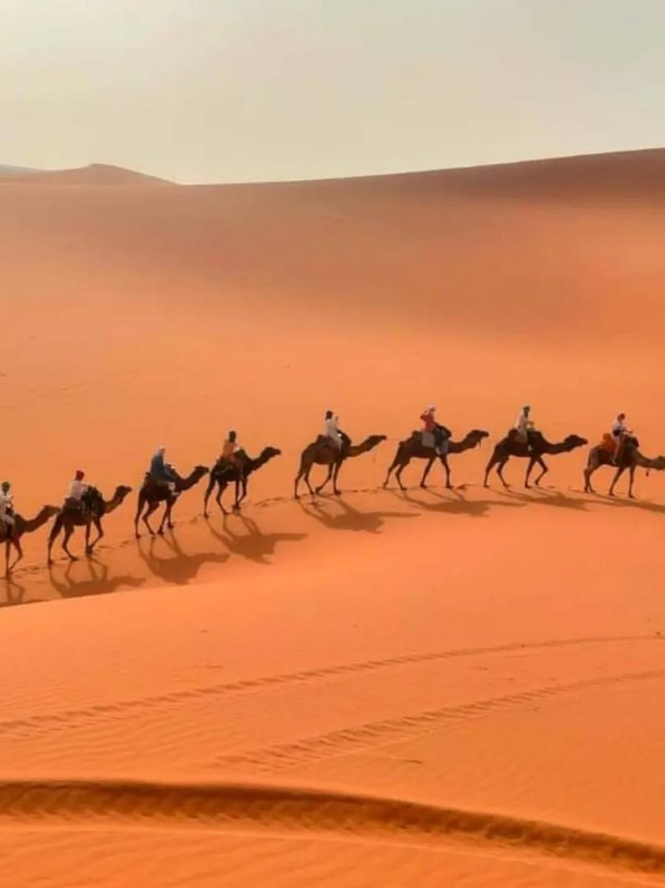 People, Natural landscape, Animals