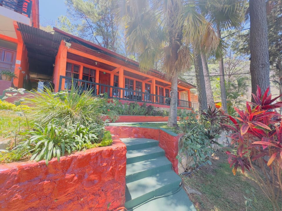 Property building, Day, Garden, Garden, Garden view