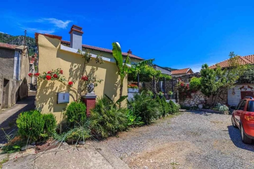 Property building, Summer, Garden, Parking