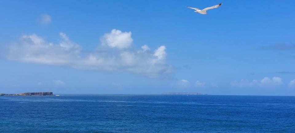 Sea view