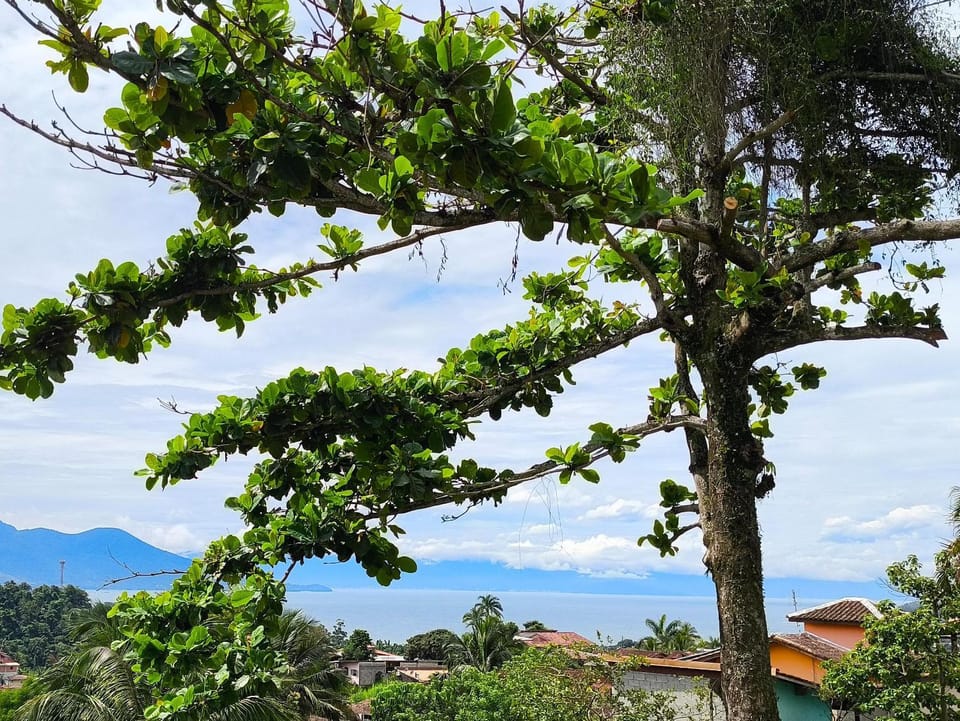 View (from property/room), Sea view