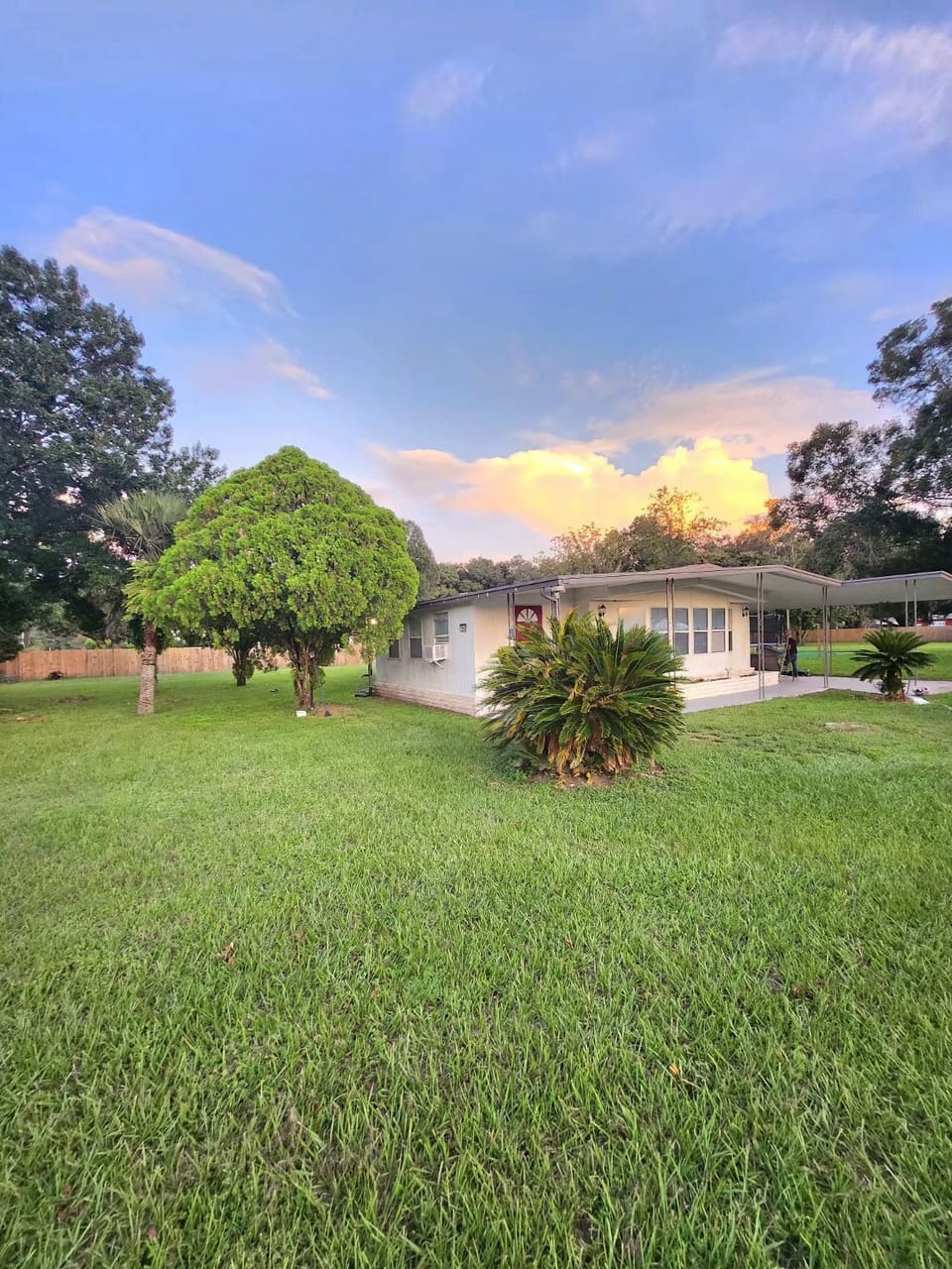 Country Home in the City with an Acre of Land House in Wesley Chapel