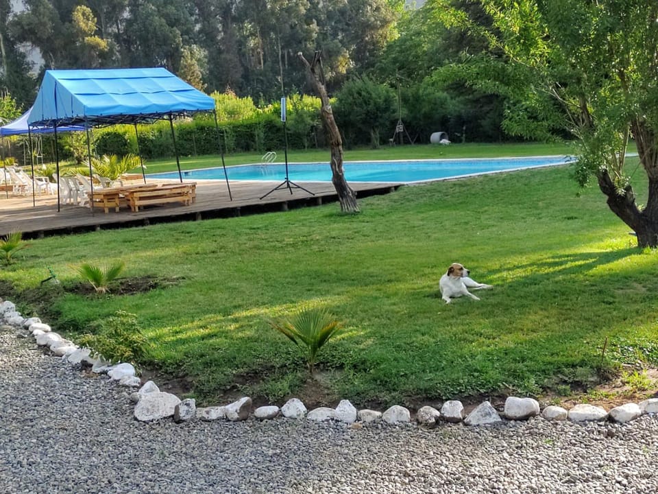 Garden, Pool view