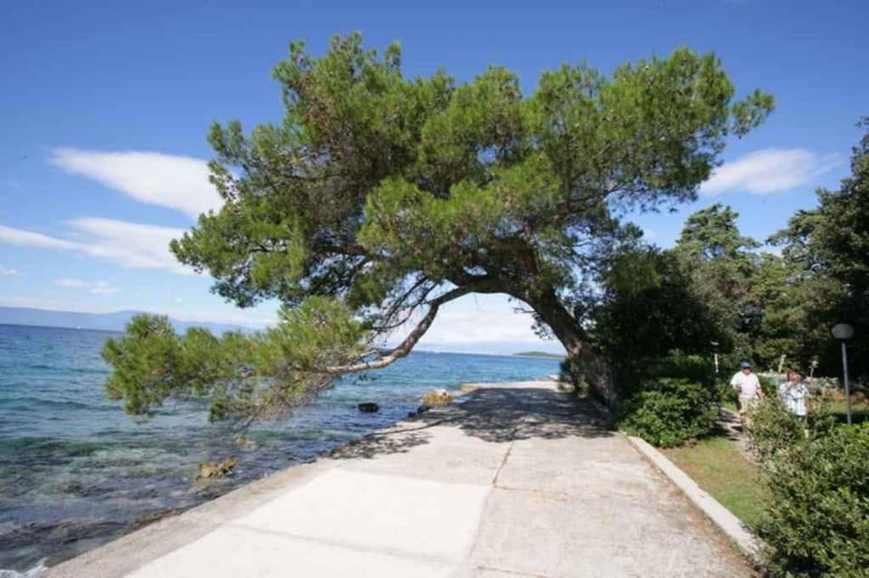 Nearby landmark, Summer