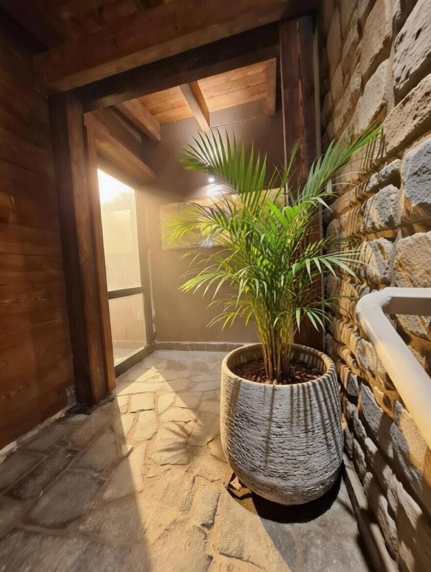 Property building, Balcony/Terrace