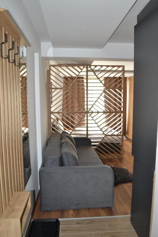 A 14 President Kopaonik Apartment in Serbia
