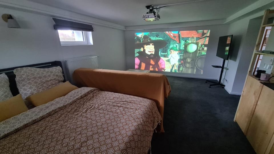 Communal lounge/ TV room, Bed, TV and multimedia, Photo of the whole room, Bedroom