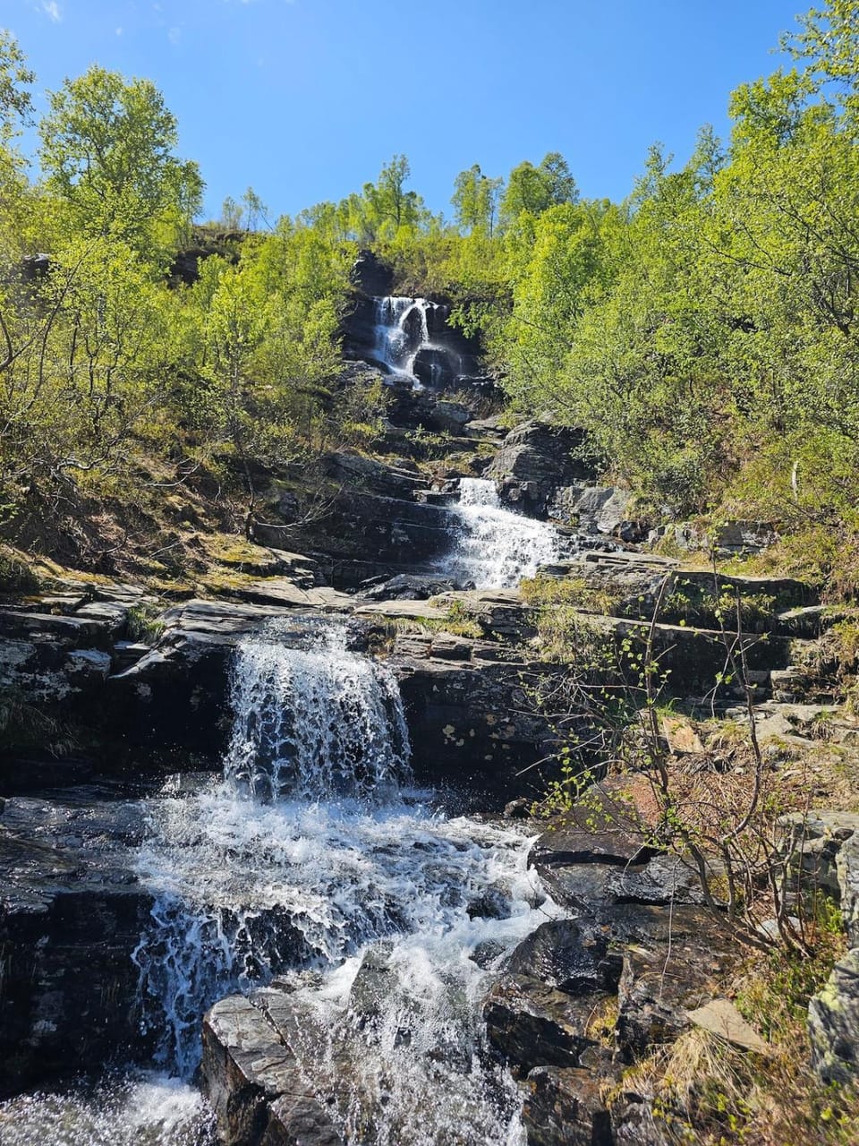 Natural landscape