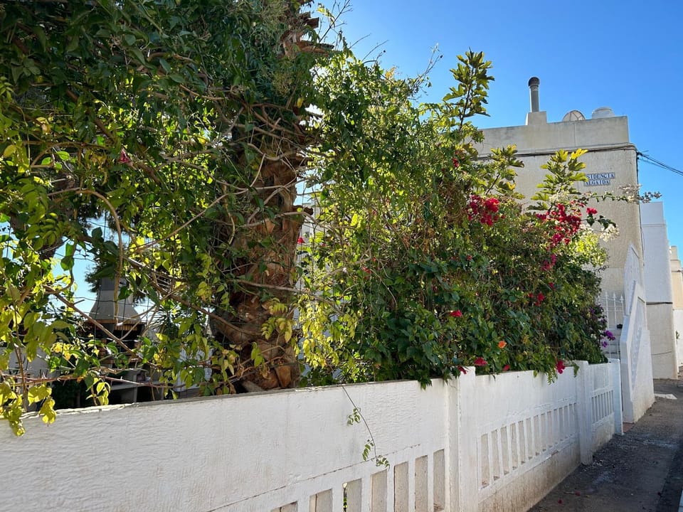 Garden, Garden view