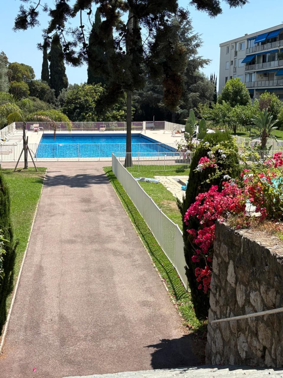 Day, Natural landscape, Garden, Garden view, Pool view, Swimming pool