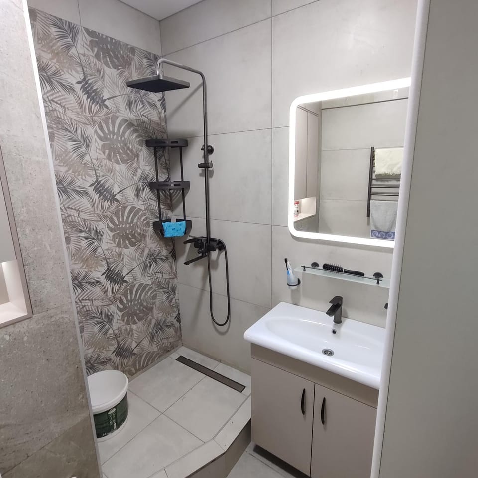 Shower, Toilet