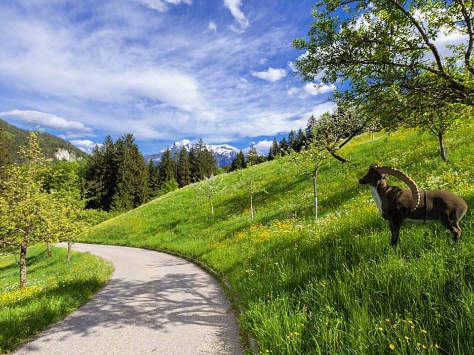 Pension Scheuerbichl Farm Stay in Berchtesgadener Land