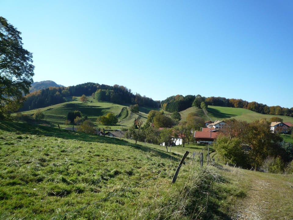 Siglhof am Pattenberg Farm Stay in Ruhpolding