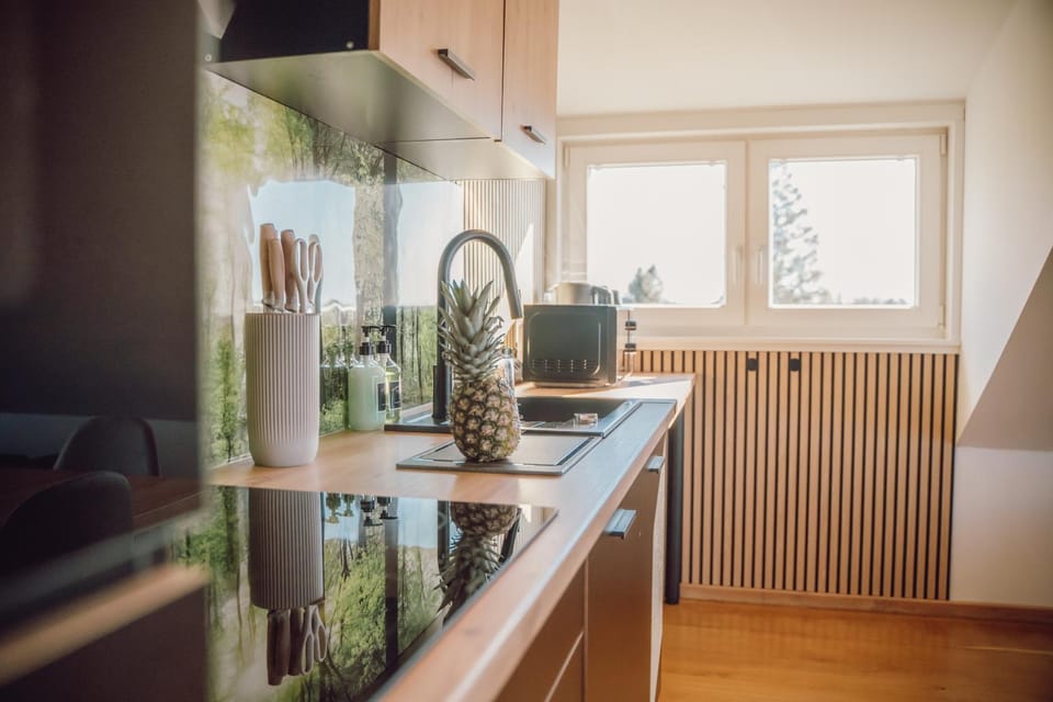 Coffee/tea facilities, Kitchen or kitchenette, stove
