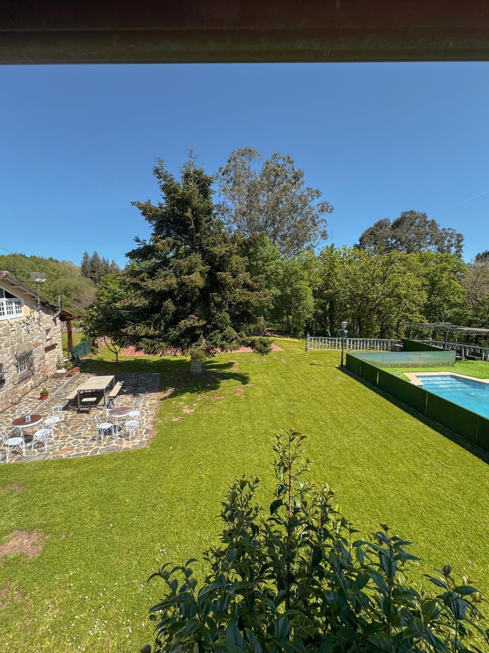 Garden, Garden view, Pool view, Swimming pool