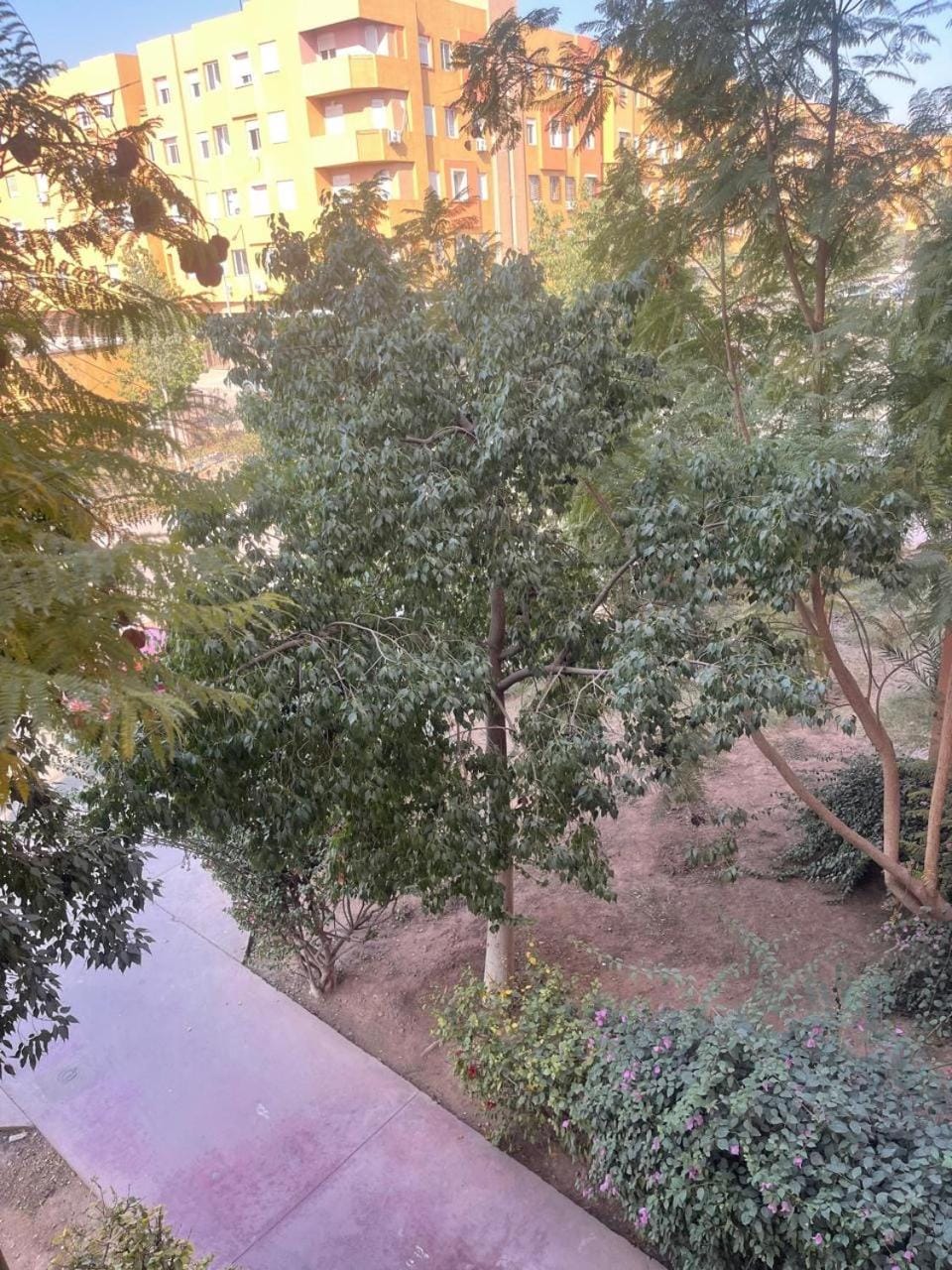 Garden View Apartment in Marrakesh