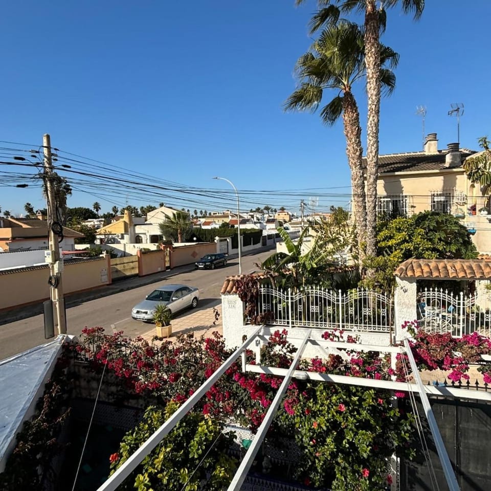 Property building, Day, Garden, Garden view