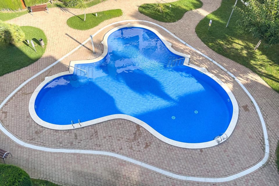 Garden, Swimming pool, Swimming pool